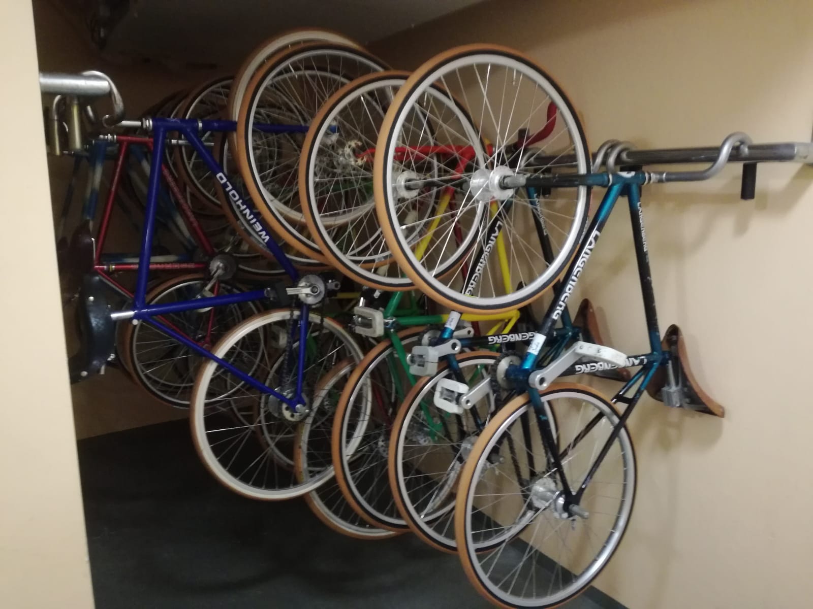Ein- und Kunstrad fahren in unserem Verein Fortuna Walle 